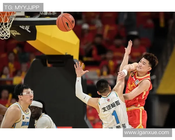 2017年CBA季后赛辽宁队与吉林队精彩对决回顾与分析