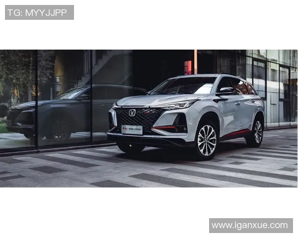 布兰与兰赫姆的巅峰对决谁将赢得最终荣耀与胜利