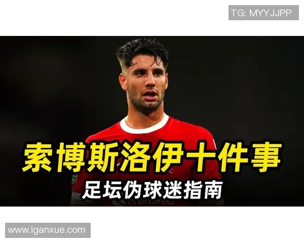 探索索博斯洛伊的历史与文化魅力揭开神秘面纱的旅程