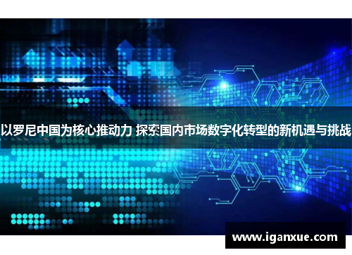 以罗尼中国为核心推动力 探索国内市场数字化转型的新机遇与挑战