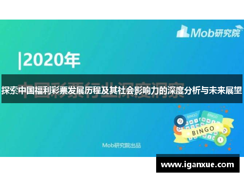 探索中国福利彩票发展历程及其社会影响力的深度分析与未来展望