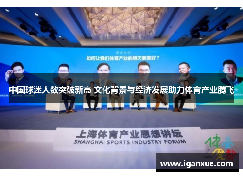 中国球迷人数突破新高 文化背景与经济发展助力体育产业腾飞